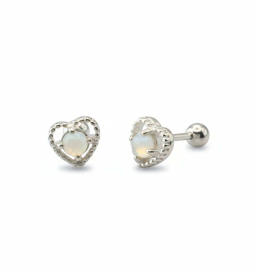 Pair of silver earrings on a white background