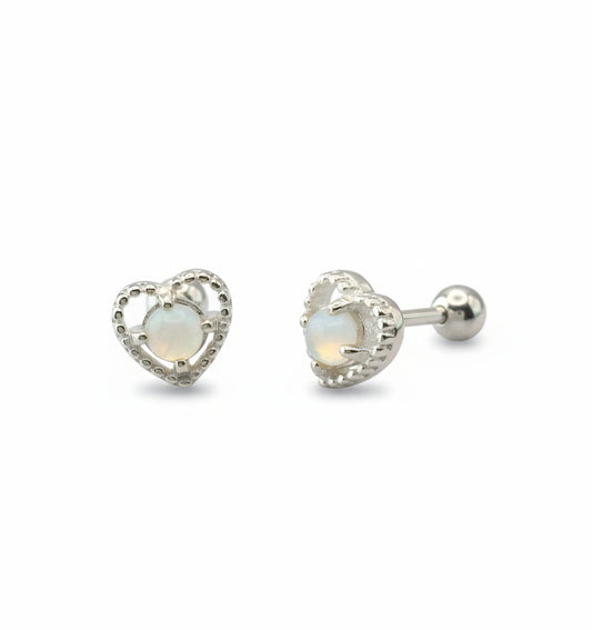 Pair of silver earrings on a white background