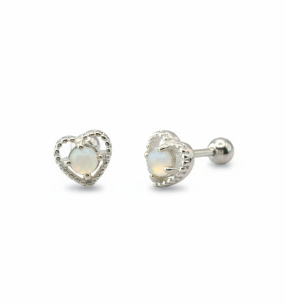 Pair of silver earrings on a white background